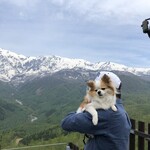 ザシティベーカリー - 