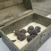 アルティザン ドゥ ラ トリュフ パリ - 