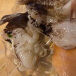 すしやのたい悟 - 鳥貝のアップ