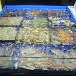 大龍蝦  - 入り口にある生簀に入った魚介類を横目に店内に入ります。
            