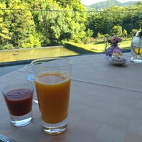 THE HIRAMATSU HOTELS&RESORTS 仙石原 - 