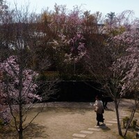 桜鶴苑 - 