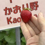 姫路ハートフル観光農園 - 