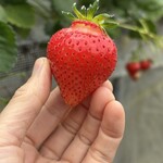 姫路ハートフル観光農園 - 