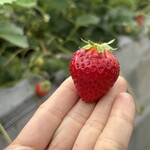 姫路ハートフル観光農園 - 