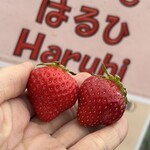 姫路ハートフル観光農園 - 