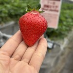 姫路ハートフル観光農園 - 