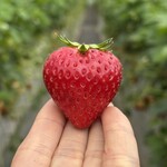 姫路ハートフル観光農園 - 