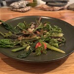 エスタシオン - 