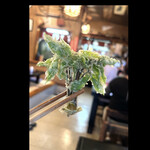郷土料理ともん - コシアブラの天麩羅　byまみこまみこ
