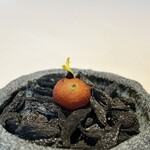 gallery by Chele - ⑦トマトシニガン(シニガンはフィリピン家庭料理の酸味スープ)