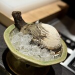 日本焼肉はせ川 別亭 - 本海松貝