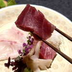 日本焼肉はせ川 別亭 - お造り　天然本鮪