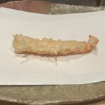 ぬま田 - 車海老(天草)