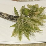 ぬま田 - コシアブラ