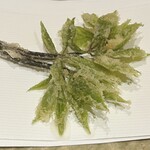 ぬま田 - コシアブラ