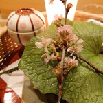 しんせん 割烹 佐乃家 - 