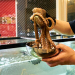 東大門 タッカンマリ - 新鮮活きの良いテナガダコ