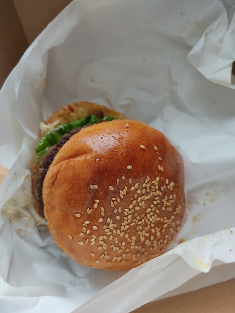 ARMS Teiku Auto Ando Deribari photo 2