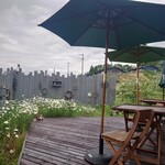 cafe アガパンサス - 