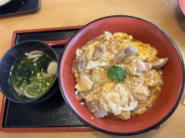 斎藤うどん店 - 平泉（うどん）の写真