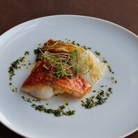 尾長鯛のソテー 烏賊  広島県産有機のサンフルーツとフェンネル
