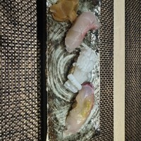 八重洲 鮨 海味 - 
