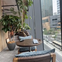 BLUE YARD - 
