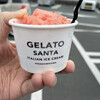 ジェラートサンタ 道の駅とよはし店