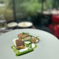TRATTORIA CREATTA - 