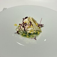 ロドラント ミノルナキジン - 