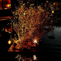 鉄板・懐石 くら馬 - 