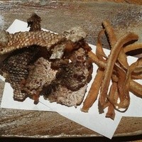 魚匠 銀平 道頓堀店 - パリパリ美味しい骨、皮せんべい