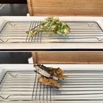 旬彩 天ぷら 心来(しんら） - 