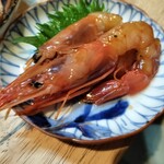 ニュークレヤ - 