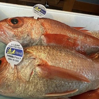 地元徳島の宍喰産・鳴門産にこだわった天然地魚を堪能
