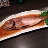 Koryori Riku photo 3