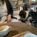 ショウゾウ シラカワ 水辺のコーヒー - 