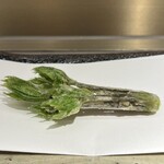 天婦羅 くすのき - 