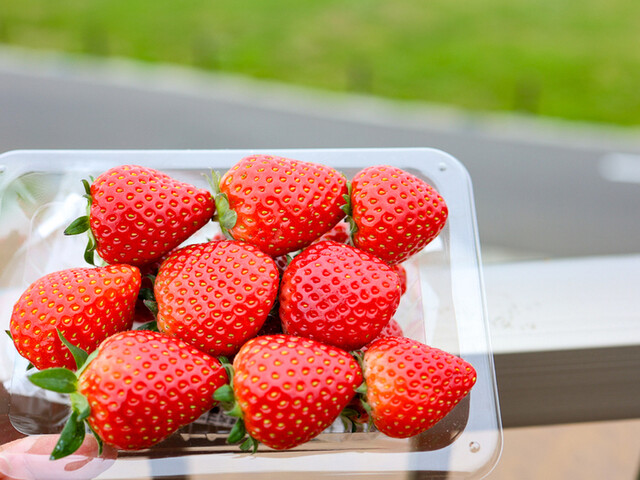 道の駅 大谷海岸 | 宮城県気仙沼市の海鮮グルメスポット