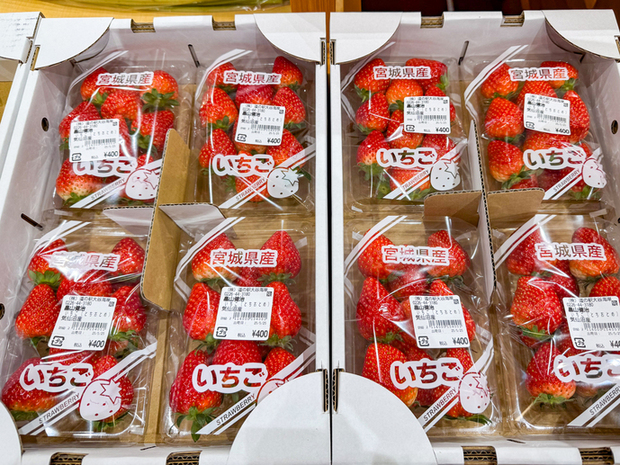 道の駅 大谷海岸 - 大谷海岸（道の駅）の写真