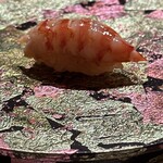 寿し道 桜田 - 三河湾　車海老