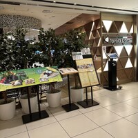 Italiana Tavola D’oro 銀座三越店 - 