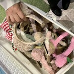 北海道めんこい くまちゃん温泉 - 