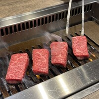 USHIGORO S. GINZA - 