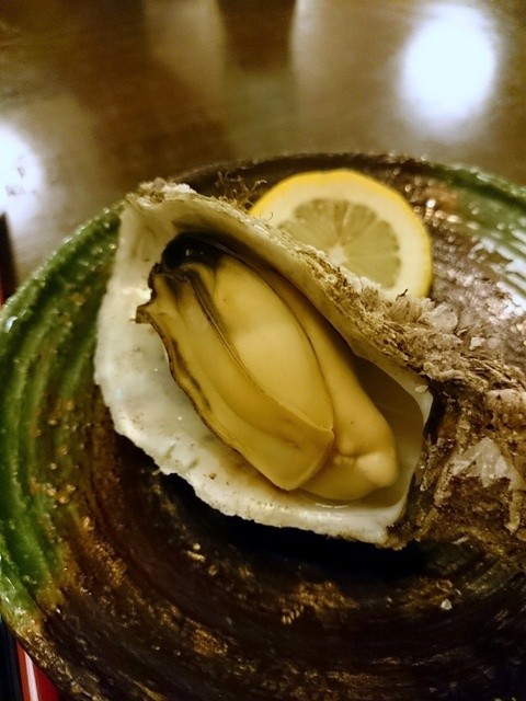 福寿草 - 北見市その他（食堂）の写真