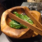 LAINE INAMURAGASAKI - チーズにつくグリーンサラダ