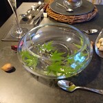 LAINE INAMURAGASAKI - もみじの若葉の設え