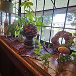 カフェ・グリーンラバーズ - 