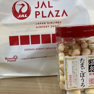 JAL PLAZA_1